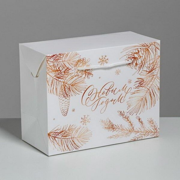 Пакет-коробка "С Новым годом", 23 x 18 x 11 см
