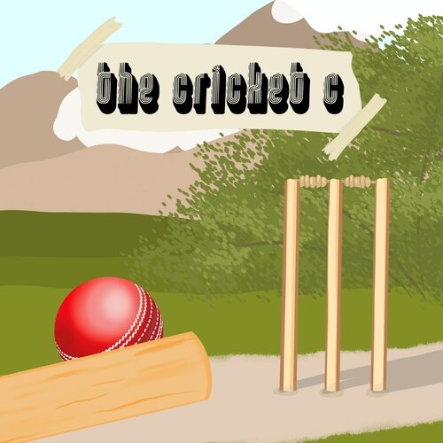 Сервис активации для The Cricket C игры для PlayStation 49900₽