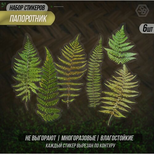 Набор наклеек для скрапбукинга растения 6 шт, стикеры самоклеящиеся на телефон