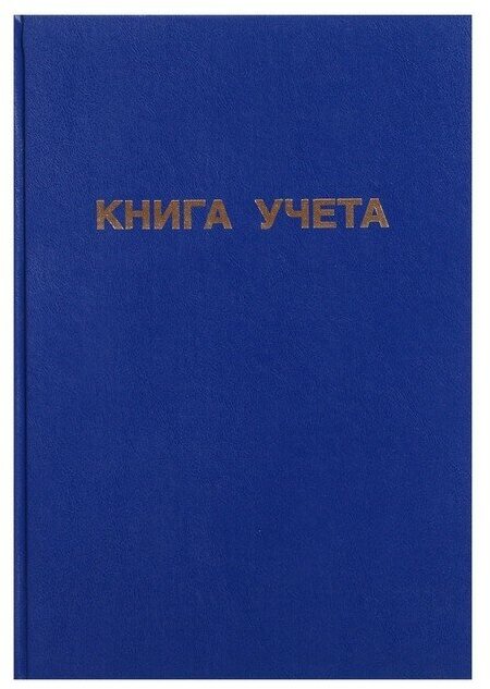 Книга учета, 192 листа, обложка бумвинил, блок газетный, клетка, цвет синий