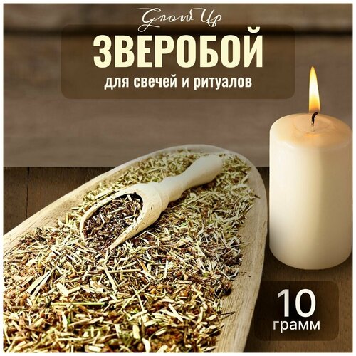 Сухая трава Зверобой (трава) для свечей и ритуалов, 10 гр