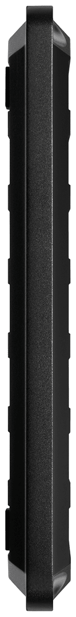 Внешний жесткий диск BLACK P10 WD - фото №2