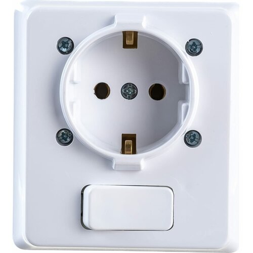 Розетка с заземлением 16A, 250В и выключателем 10А, 250В NE-AD IP20 Белый 1001-A