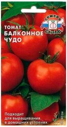 Семена Томат "Балконное чудо", цв/п, 0,1 г