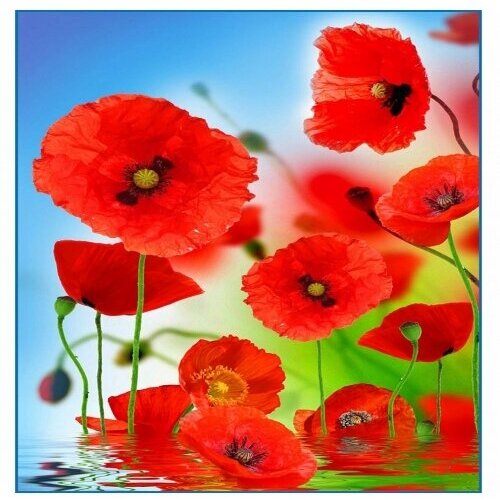 Фотообои глянцевые Красные маки 134196 774₽