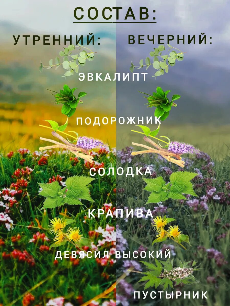 Изображение Травяной сбор Алфит 11 Лёгочный
