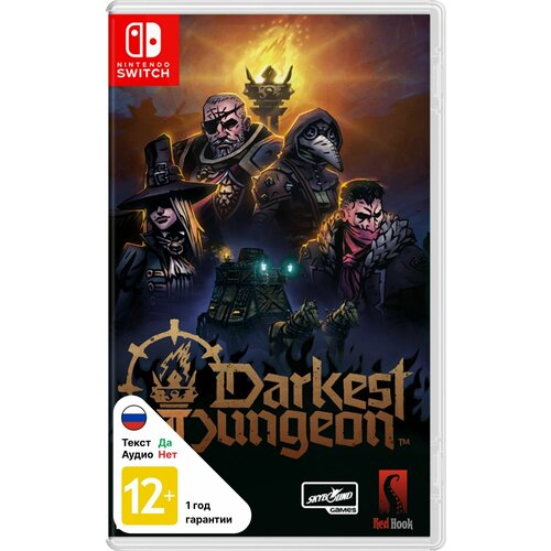 Игра Nintendo Switch на картридже Darkest Dungeon II 4499₽