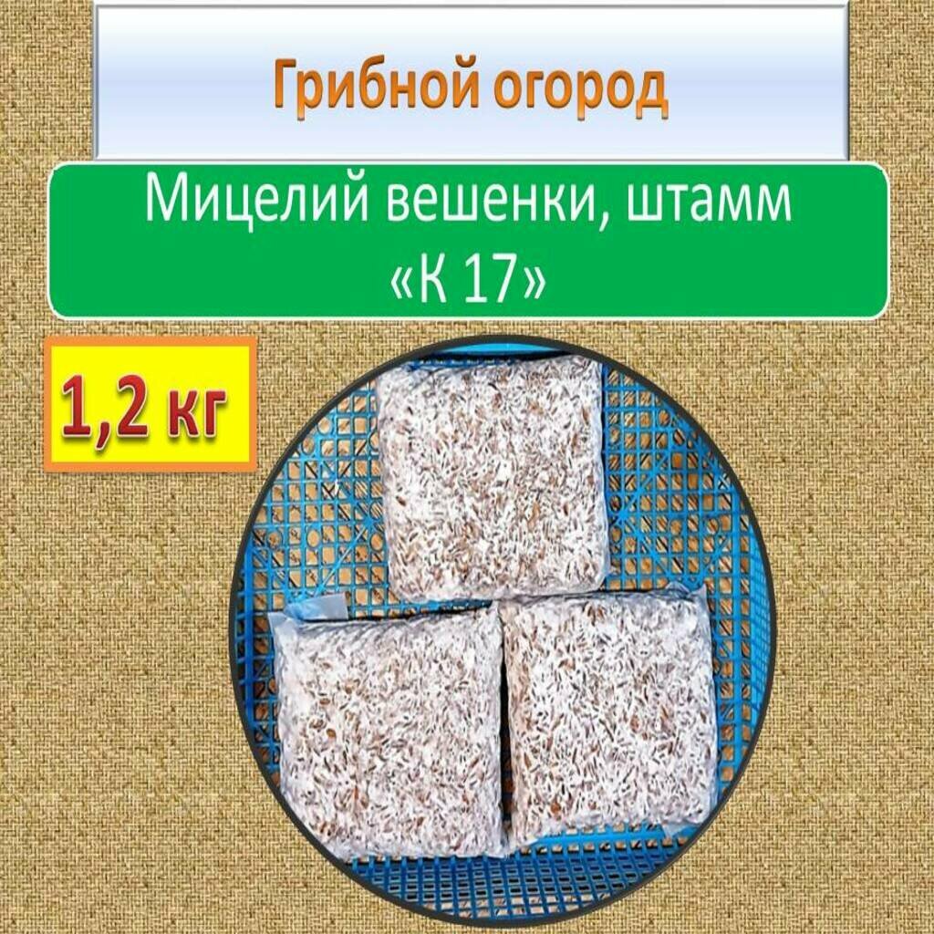 Мицелий вешенки для производства грибных блоков грибница. Штамм 