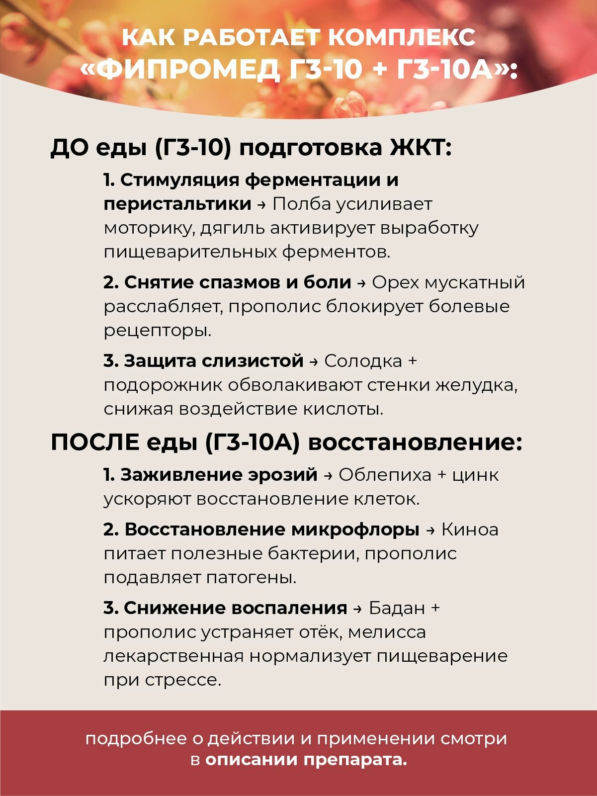 Изображение Фипромед Г3-10 Неязвенная функциональная диспепсия, 50 мл