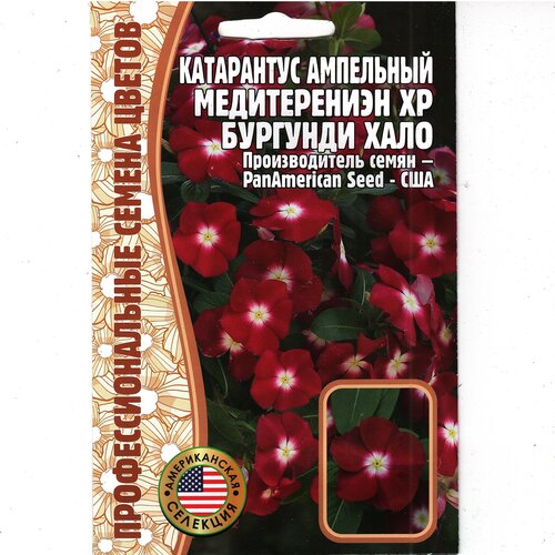 Катарантус ампельный Mediterranean XP, бургунди, комнатный многолетник ( 1 уп: 5 семян )