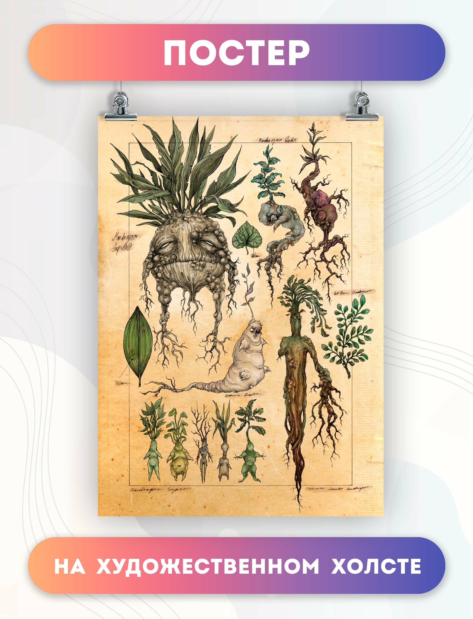 Постер на холсте goblincore aesthetic гоблинкор эстетика грибы (20) 30х40 см