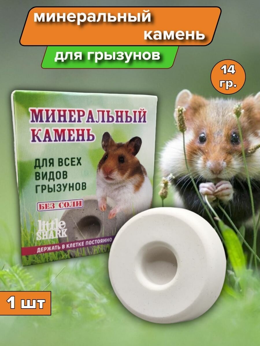 фото МинкаменьГрызуны