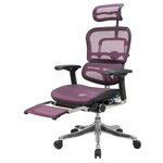 Компьютерное кресло Comfort Seating Ergohuman Plus Legrest офисное - изображение