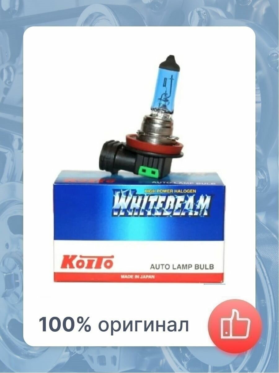 Лампа галогенная KOITO Whitebeam H11 12V 55W 4000K