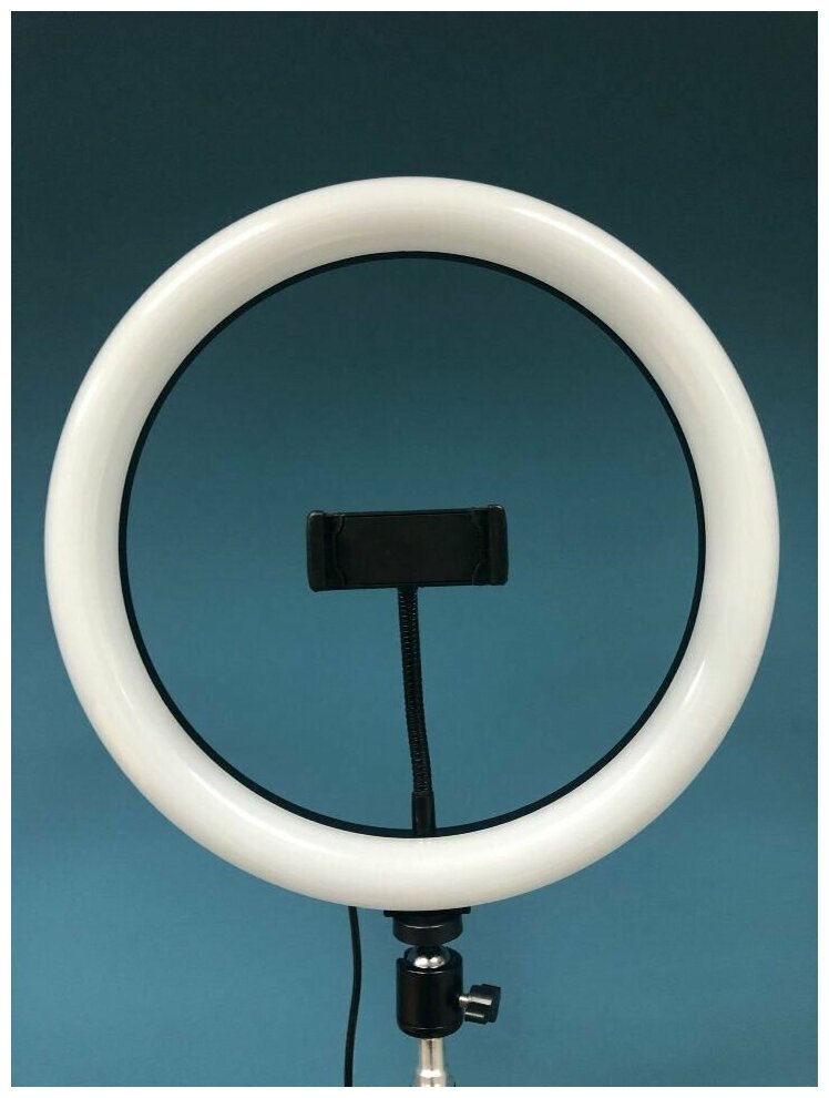 Селфи-лампа светодиодная яркая кольцевая диаметр 26 без атива с держателем подартфон