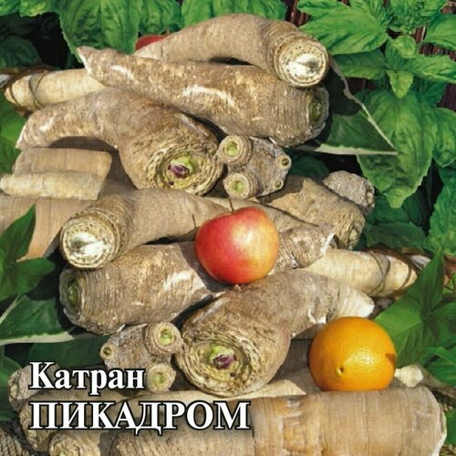 Семена Катран (хрен татарский) Пикадром, 100г, Гавриш, Фермерское подворье