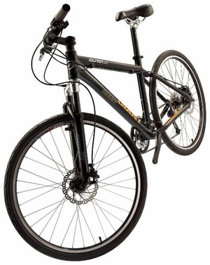 Giant iguana disc mountain bike sales