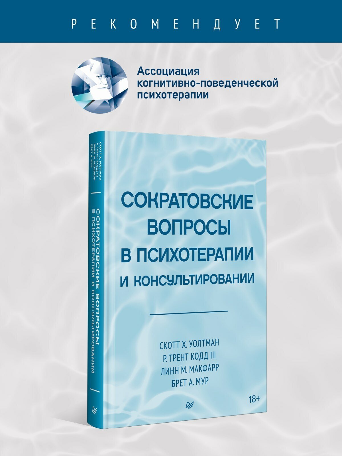 Сократовские вопросы в психотерапии и консультировании - фото №2