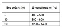 Корм для собак My Wuf! Energy (0.5 кг) 6 шт.