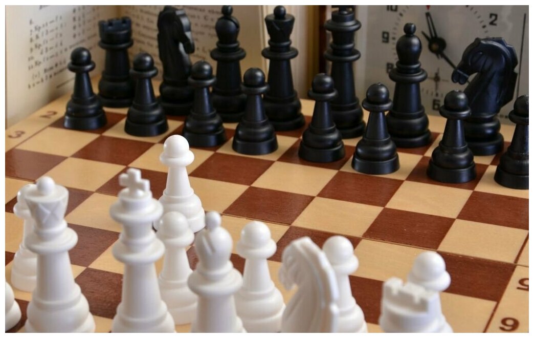 Настольная игра Десятое королевство Шахматы, пластмассовые фигуры в деревянной упаковке (поле 29см х 29см) 03878ДК - фотография № 2