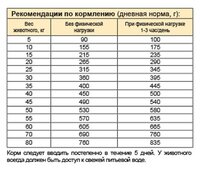 Корм для собак Stout Для взрослых собак с чувствительным пищеварением (15 кг)