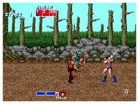 Игра для PlayStation 3 Golden Axe