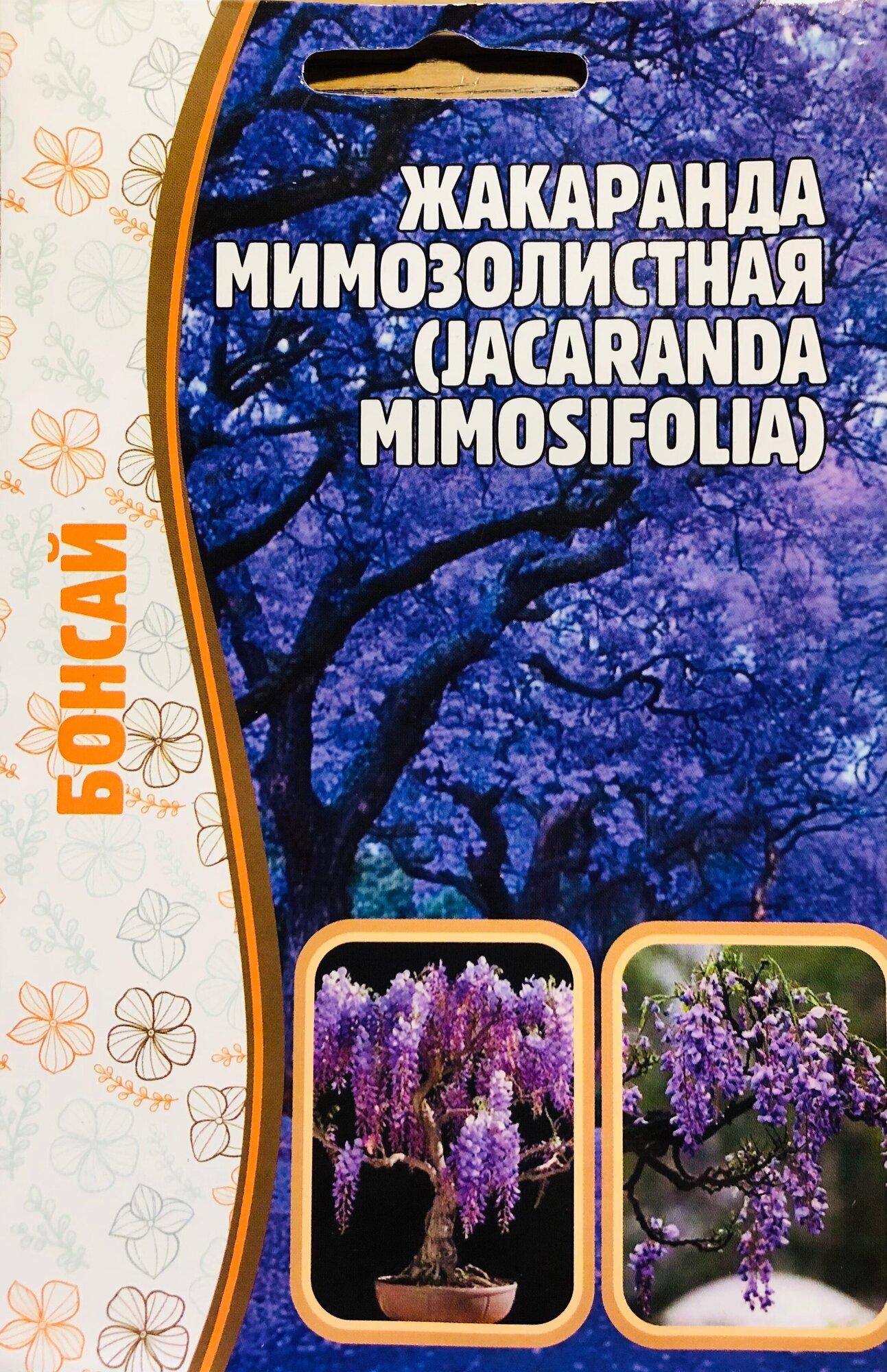 Семена Жакаранды мимозолистной (Jacaranda mimosifolia) (5 семян)