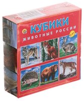 Кубики-пазлы Рыжий кот Животные России К09-9609