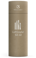 Портативная акустика GZ electronics LoftSound GZ-22 brown