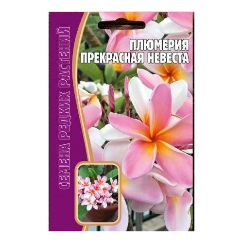 Редкие Растения Семена Плюмерия Прекрасная Невеста 3шт