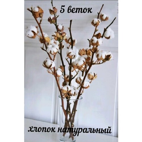 Хлопок натуральный