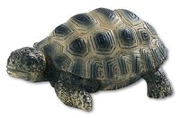 Фигурка Bullyland Детёныш черепахи 63554
