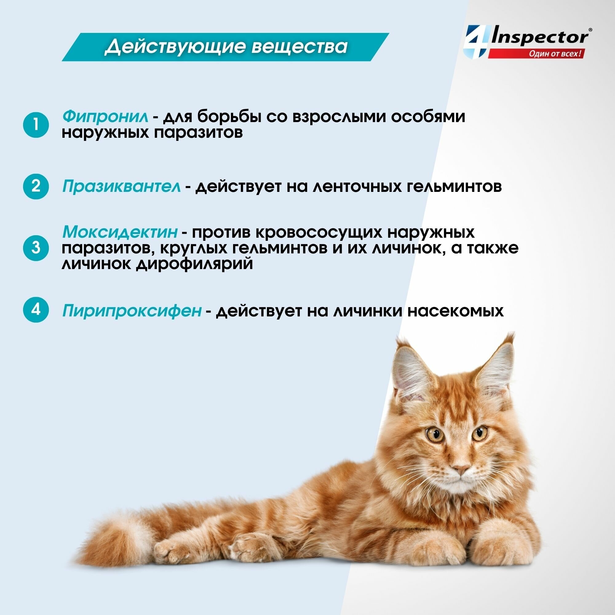 Inspector капли от блох и клещей Quadro К от 4 до 8 кг для кошек от 4 до 8 кг 3 шт. в уп., 1 уп.