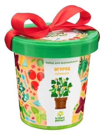 Набор для выращивания Happy Plant Горшок подарочный Огурец корнишон