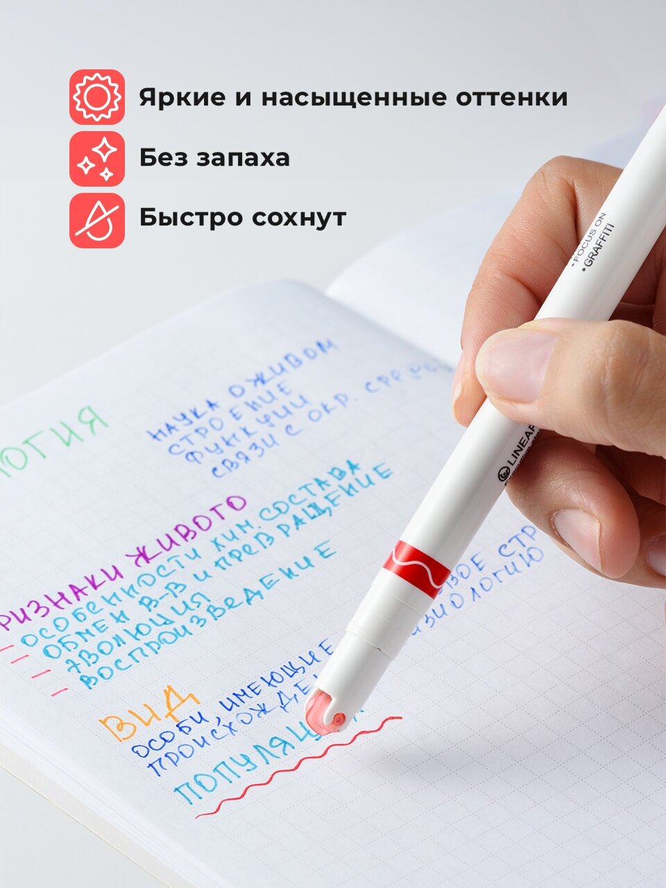 Маркеры текстовыделители фигурные, Parchment, Выделители текста яркие/ Цветовыделители для школы и офиса, Набор 8 шт — фото 1