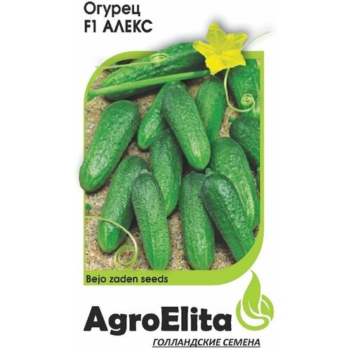 Семена Огурец Алекс F1, 5шт, AgroElita, Bejo семена огурец алекс f1 5шт agroelita bejo 3 упаковки