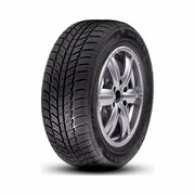 Автошина ROADX RXFROST WH01 195/45 R16 84H XL