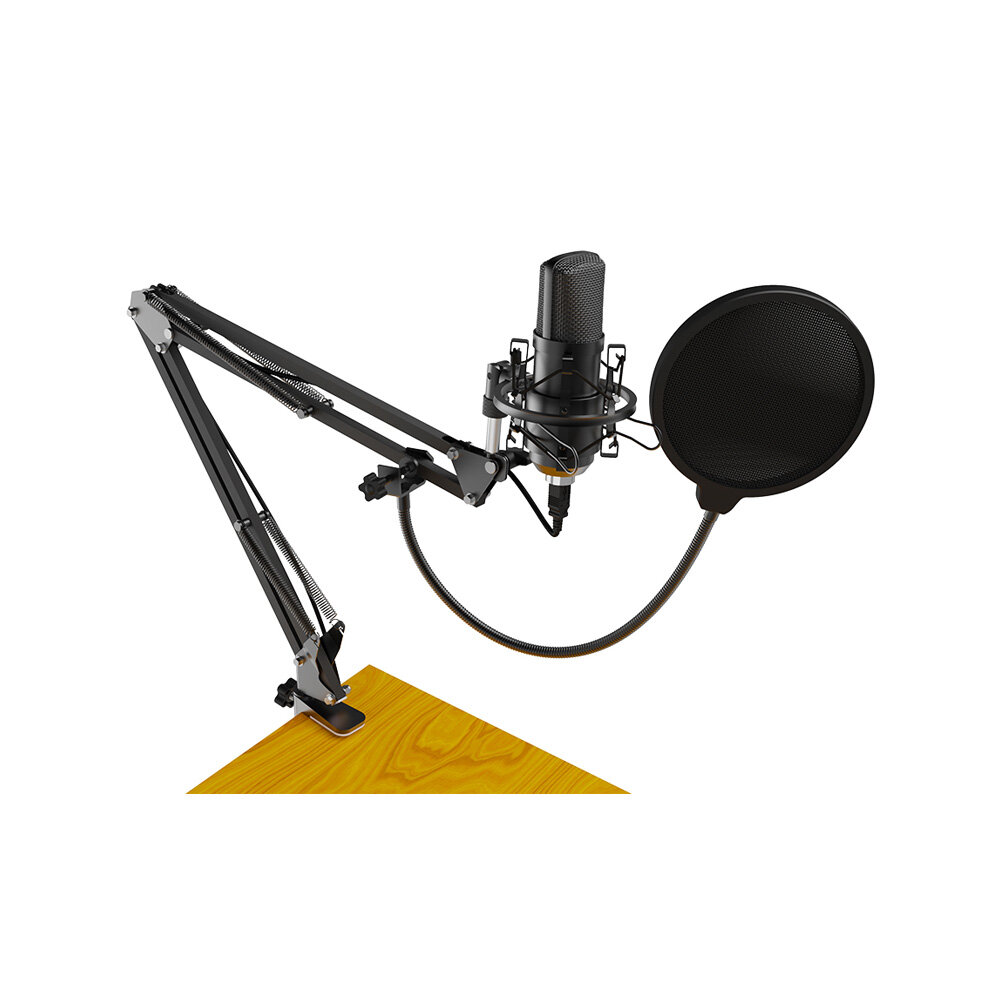 Микрофон проводной Ritmix RDM-169