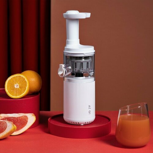 Портативная соковыжималка Windigo LJE-002 60 Вт от USB 3000 мАч белая 766500₽