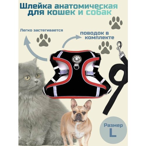 Анатомическая шлейка для собак мелких пород и кошек с поводком
