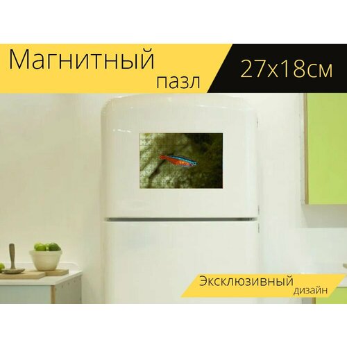 Магнитный пазл Неон, рыбы, аквариум на холодильник 27 x 18 см. магнитный пазл рыбы аквариум вода на холодильник 27 x 18 см