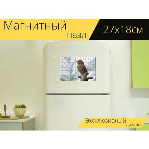 Магнитный пазл Соловей, птица, петь на холодильник 27 x 18 см.