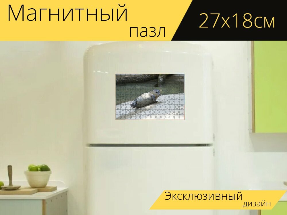 Магнитный пазл "Тюлень, ложь, комфортный" на холодильник 27 x 18 см.