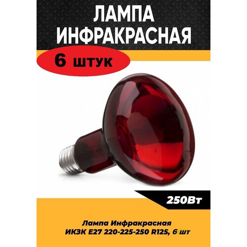 Инфракрасная лампа для курятника цыплят птиц животных 250W цоколь E27, 6 шт / Инфракрасная лампа для обогрева