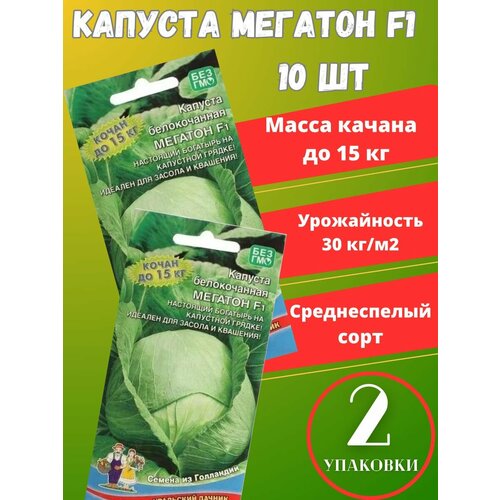 Семена Капуста Мегатон F1,2 упаковки семена капусты белокочанной мегатон f1 10 шт