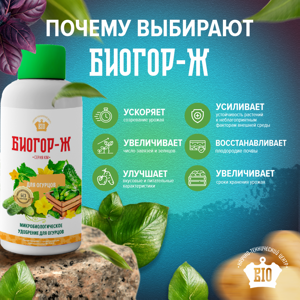 Натуральное микробиологическое удобрение "Биогор" для огурцов — фото 1