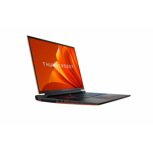 Thunderrobot zero 16 RTX4080i9-13900HX25K 20999000₽