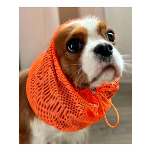 Снуд для собак шапочка спаниеля оранжевый S фигурка спаниель 14 × 10 см