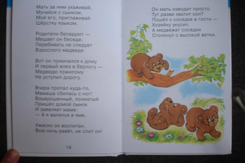 Сказки в стихах - фото №18