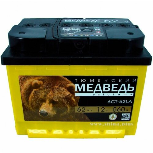 Аккумулятор Тюменский медведь 62Ач R EN610A 242x175x190 B13 6920₽